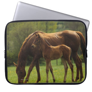 Housse Pour Ordinateur Portable Jument et poulain 2 de pur sang