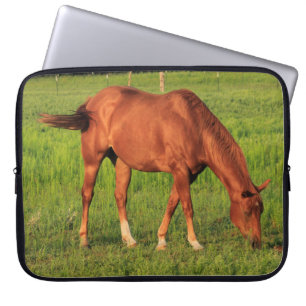 Housse Pour Ordinateur Portable Kansas Red Horse avec pâturage vert LapTop Sleeve.
