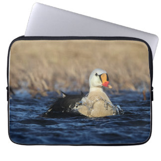 Housse Pour Ordinateur Portable King Eider Bird