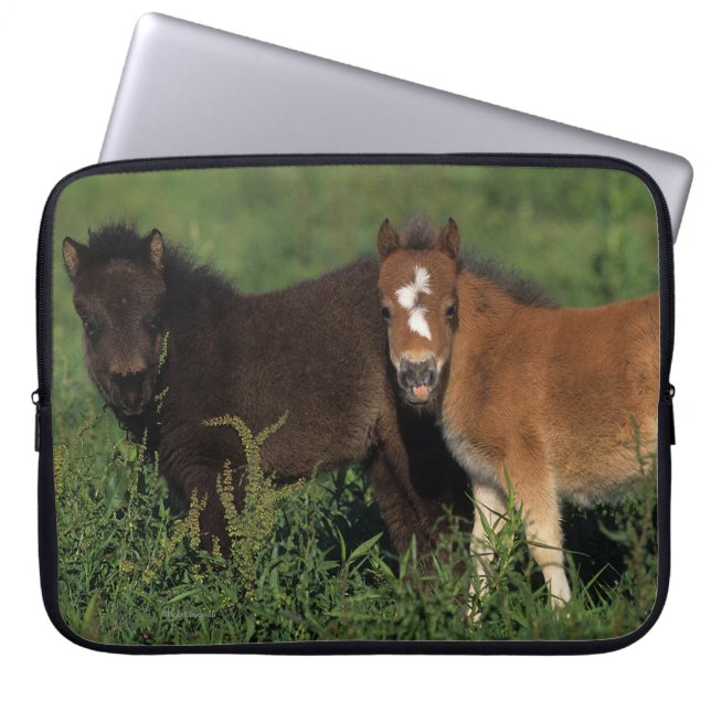 Housse Pour Ordinateur Portable La miniature pouline dans l'herbe (Devant)