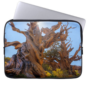 Housse Pour Ordinateur Portable L'arbre sentinelle