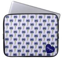Lavandula Lavender Bund Herbe Jardin Fleur Violet