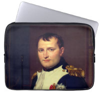 L'empereur Napoléon dans son étude aux Tuileries