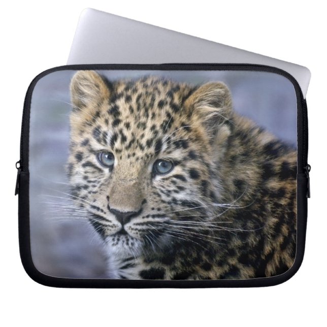 Housse pour ordinateur portable Leopard Cub (Devant)