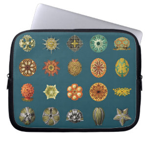 Housse Pour Ordinateur Portable Les bijoux sous-marins d'Ernst Haeckel