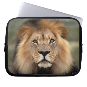 Housse Pour Ordinateur Portable Lion - roi de la jungle