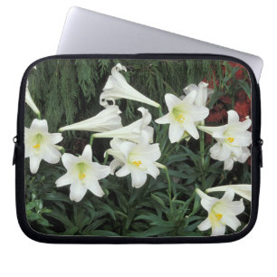 Housse Pour Ordinateur Portable Lis de Pâques (Lilium regale)