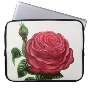 Housse Pour Ordinateur Portable Lithographie de rose antique, François-Frédéric Gr