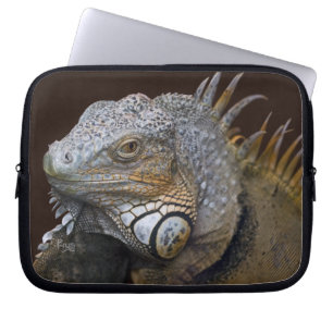 Housse pour ordinateur portable Little Dragon