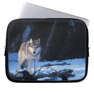 Housse Pour Ordinateur Portable loup gris, Canis lupus, dans les contreforts