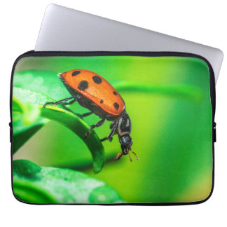 Housse pour ordinateur portable Macro Coccinelle |