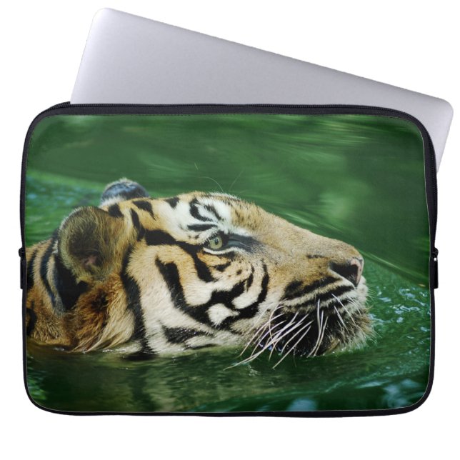 Housse Pour Ordinateur Portable Malayan Tiger Swimming Headshot (Devant)