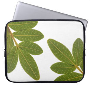 Housse Pour Ordinateur Portable Manches de Motif pour Plante saint brésilien