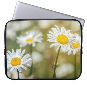 Housse Pour Ordinateur Portable Marguerites œil de boeuf blanches vibrantes