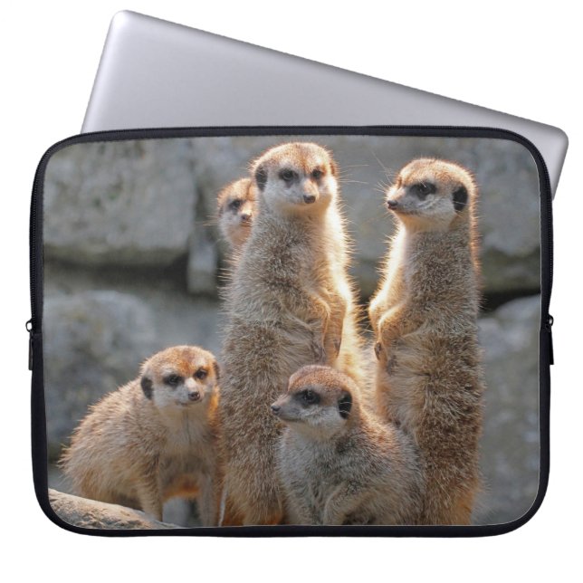 Housse Pour Ordinateur Portable Meerkat 110 (Devant)
