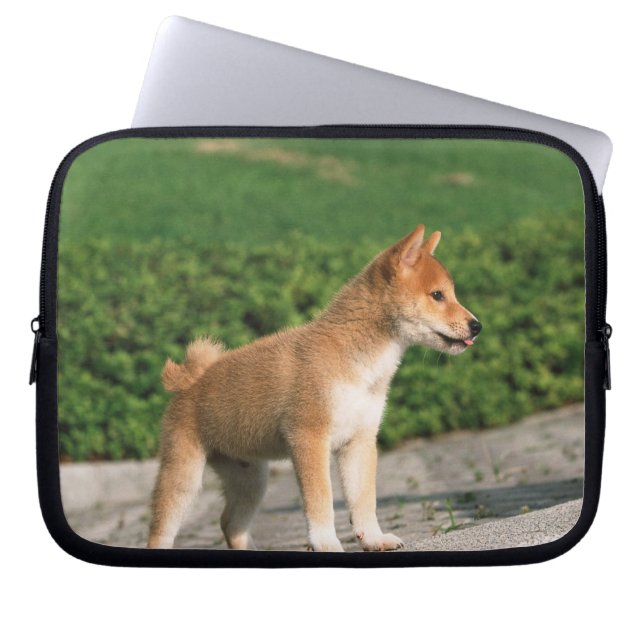 Housse Pour Ordinateur Portable Midget Shiba 2 japonais (Devant)