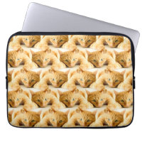 Motif de chat au gingembre orange