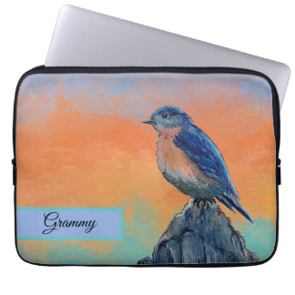 Housse pour ordinateur portable Muted Sunset Blueb