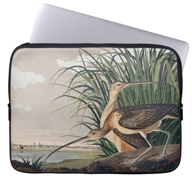 Housse Pour Ordinateur Portable Oiseau de Courlis à long bec Audubon (Devant)