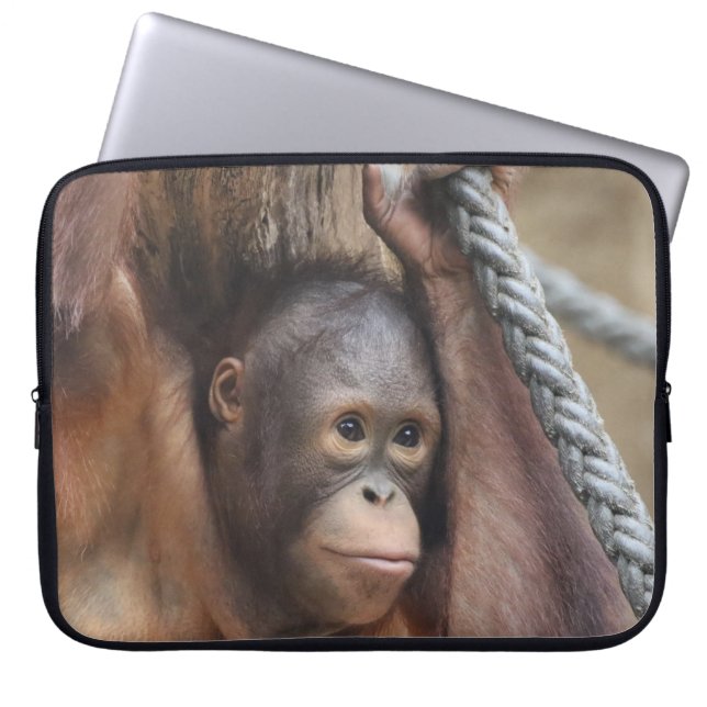 Housse Pour Ordinateur Portable OrangUtan 002 (Devant)