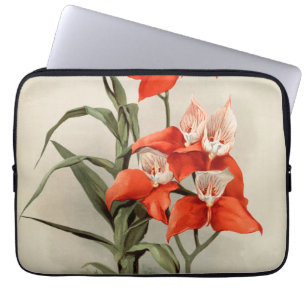 Housse Pour Ordinateur Portable Orchidées Fleur florissante Vintage vieille illust