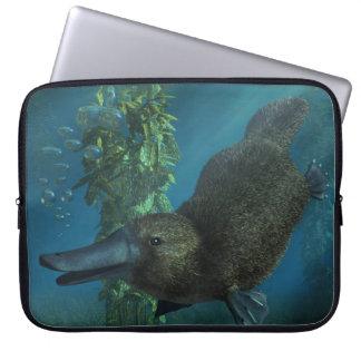 Housse Pour Ordinateur Portable Ornithorynque