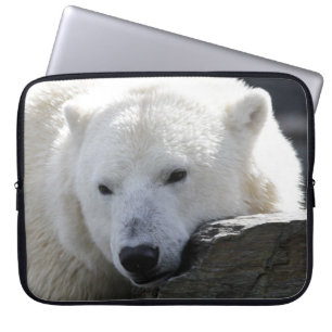 Housse Pour Ordinateur Portable Ours 002