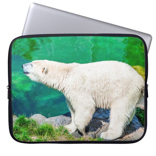 Housse Pour Ordinateur Portable Ours polaire (Devant)
