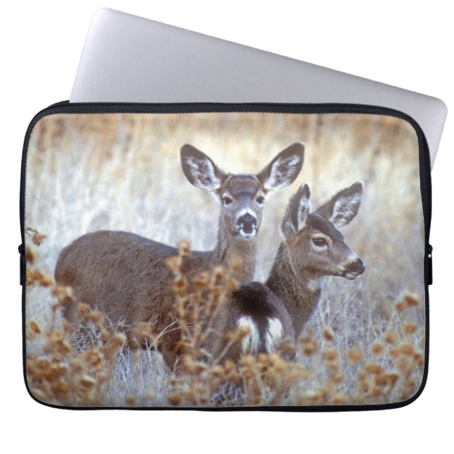 Housse Pour Ordinateur Portable Paire de cerfs de Mule sauvage | Californie (Devant)