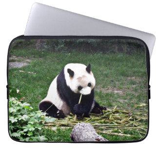 Housse Pour Ordinateur Portable Panda mangeant le bambou