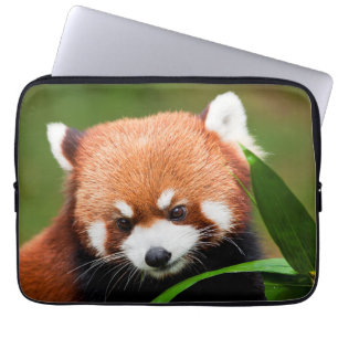 Housse Pour Ordinateur Portable Panda roux mignon