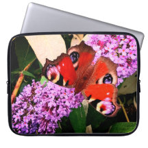 Papillon rouge