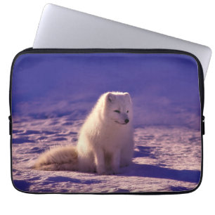 Housse Pour Ordinateur Portable Paysage de neige de l'hiver de Fox Arctique