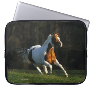 Housse Pour Ordinateur Portable Peignez le cheval fonctionnant rapidement