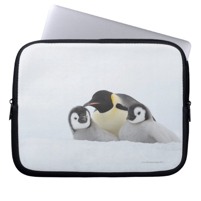 Housse Pour Ordinateur Portable Penguin (Aptérodytes forsteri) 2 (Devant)