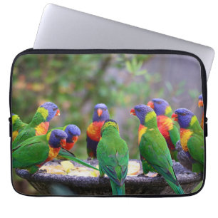 Housse Pour Ordinateur Portable Perruches arc-en-ciel colorées mangeant