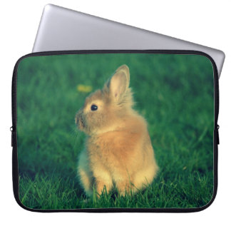 Housse Pour Ordinateur Portable Petit lapin