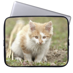 Housse Pour Ordinateur Portable Photo cat, animaux coques d'ordinateur portable.