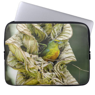 Housse Pour Ordinateur Portable Photographie d'Avian, Euphonie à dos d'Olivier
