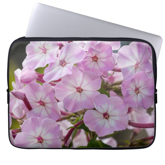 Housse Pour Ordinateur Portable Photographie de Phlox, Fleur rose (Devant)
