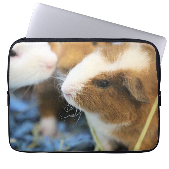 Housse Pour Ordinateur Portable Piggy (Devant)