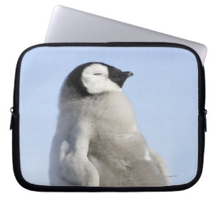 Housse Pour Ordinateur Portable Pingouin d'empereur de bébé, île de colline de
