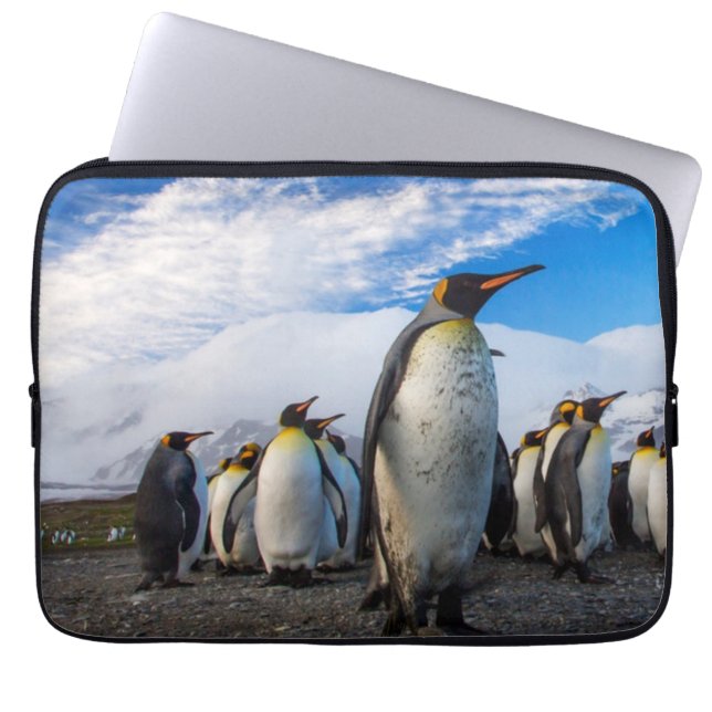 Housse Pour Ordinateur Portable Pingouins Marching Ciel bleu (Devant)