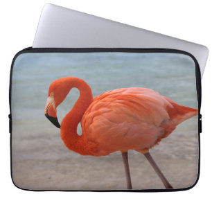 Housse Pour Ordinateur Portable Plages tropicales   Flamant rose des Caraïbes, Aru