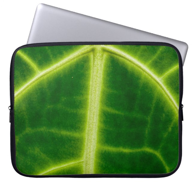 Housse Pour Ordinateur Portable Plante à feuilles vertes (Devant)