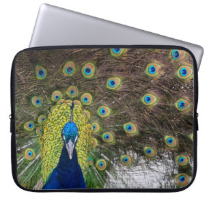 Housse Pour Ordinateur Portable Plumes de paon vibrantes