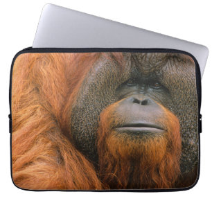 Housse Pour Ordinateur Portable Portrait d'un orang-outan mâle, Géorgie, États-Uni