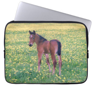 Housse Pour Ordinateur Portable Poulain dans champ de pissenlits