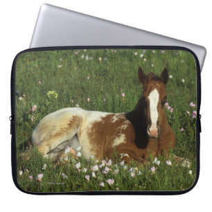 Housse Pour Ordinateur Portable Poulain d'Appaloosa fixant en fleurs
