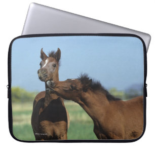 Housse Pour Ordinateur Portable Poulains jouant 2